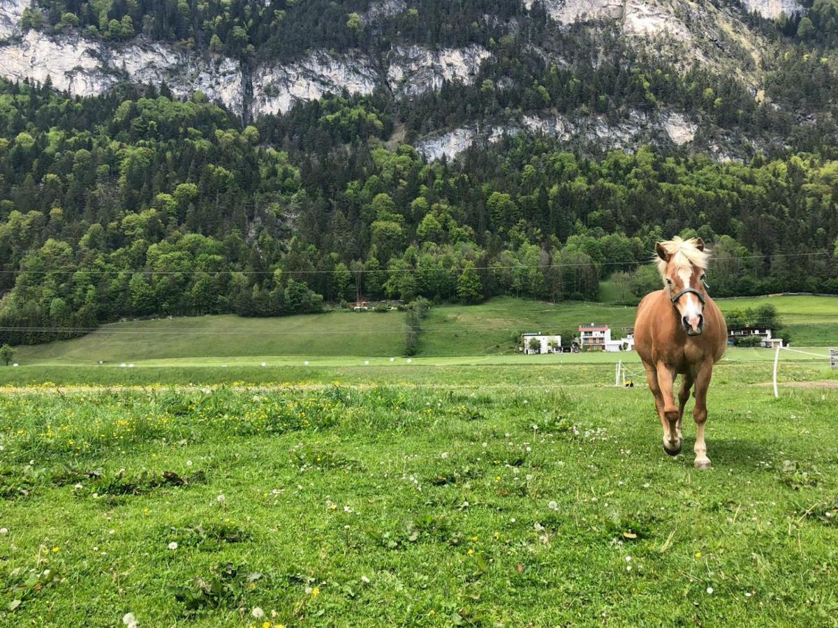Haflingerhof Villa Kramsach Dış mekan fotoğraf